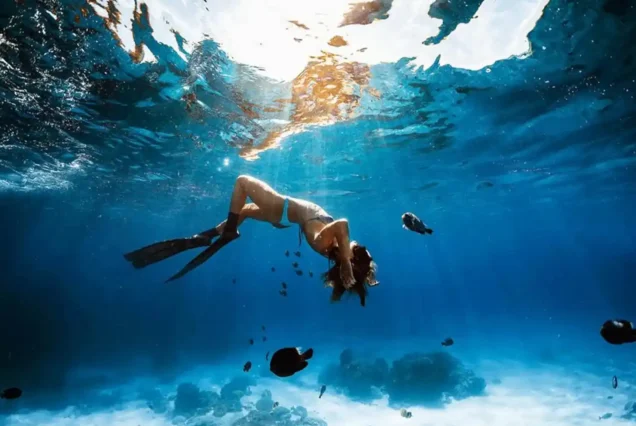 Diving - Snorkelling Semi Private