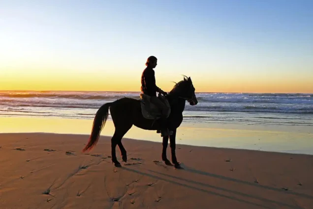 Horseback riding Semi Private