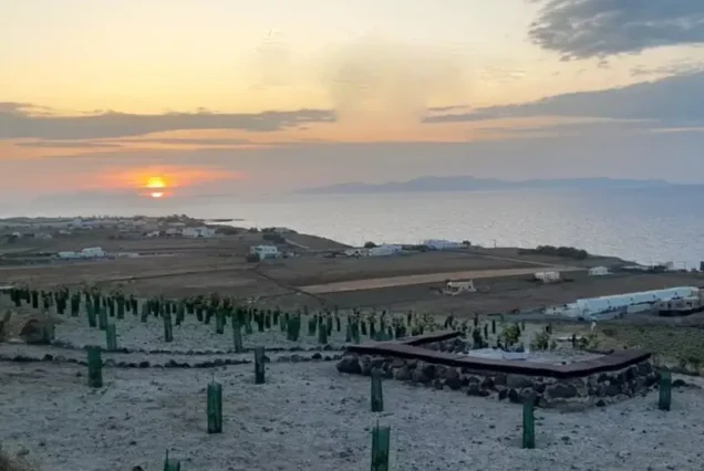 Morning or Sunset Picnic Day